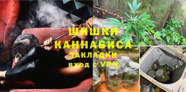 прущие грибы Саяногорск