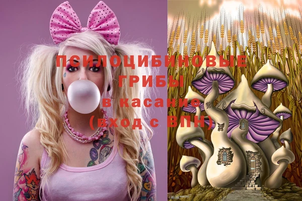 трава Абаза