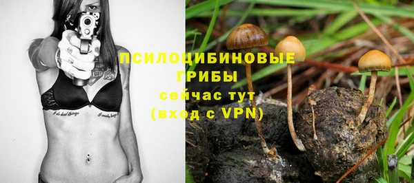 сатива Алзамай