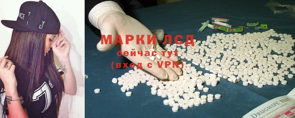 сатива Алзамай