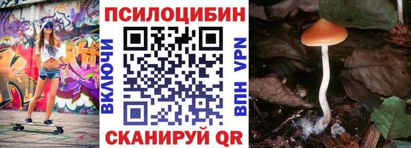Галлюциногенные грибы прущие грибы  Изобильный 