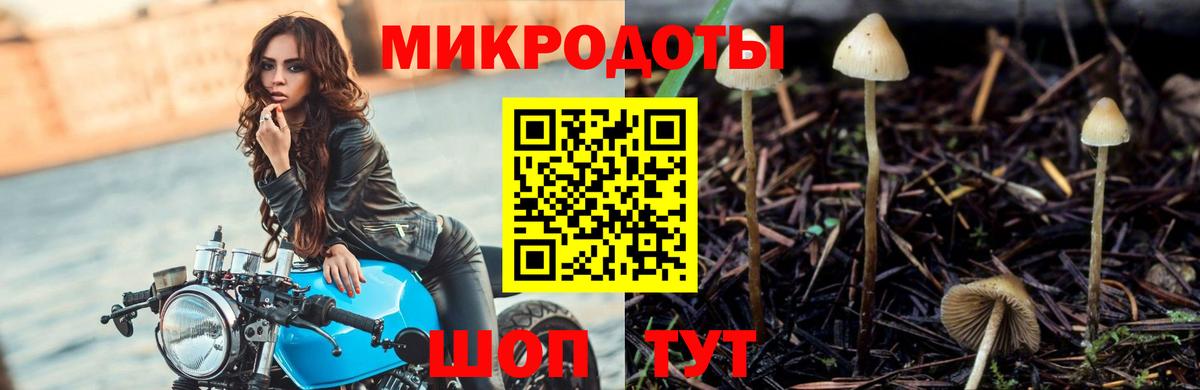 как найти наркотики  Вход с VPN  Изобильный  Галлюциногенные грибы Psilocybine cubensis 