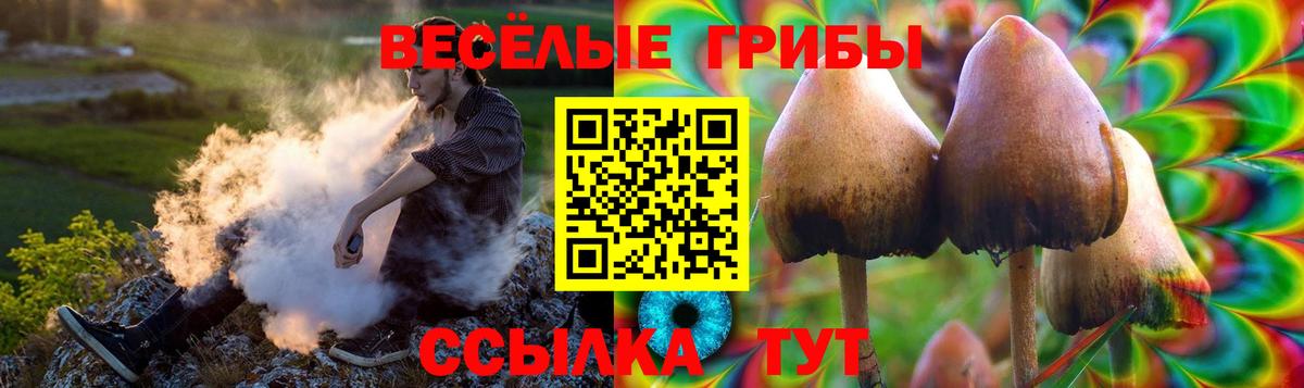 Галлюциногенные грибы Psilocybine cubensis Изобильный